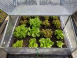 Ressources en biodiversité : Pourquoi elles sont essentielles pour l’avenir de notre planète