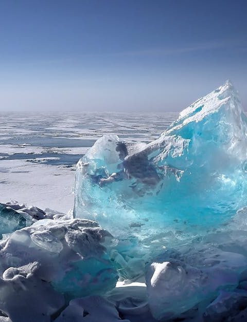 découvrez les enjeux du changement climatique, ses impacts sur notre planète et les solutions pour un avenir durable. engagez-vous dans la lutte pour la protection de l'environnement.