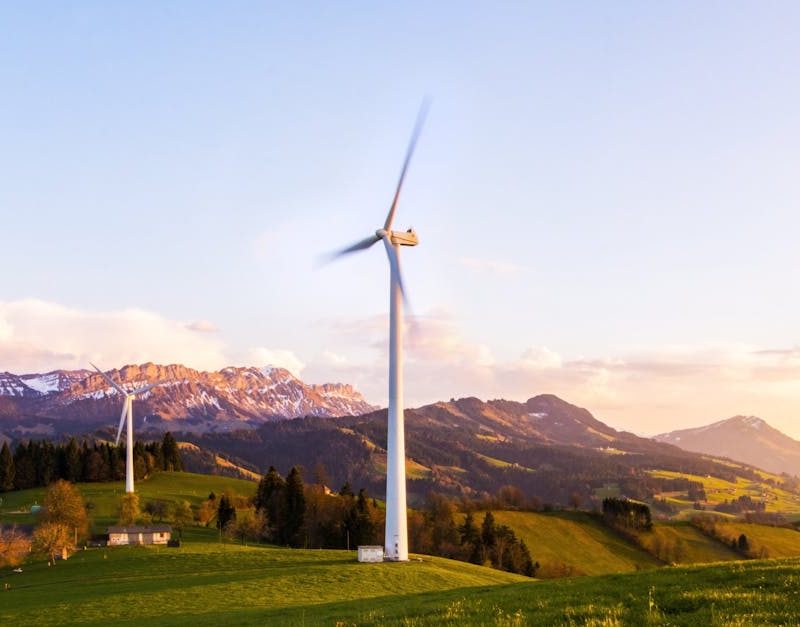 découvrez comment la durabilité façonne un avenir meilleur grâce à des pratiques respectueuses de l'environnement, l'innovation et l'engagement communautaire. explorez des solutions pour réduire l'empreinte écologique et promouvoir un mode de vie durable.