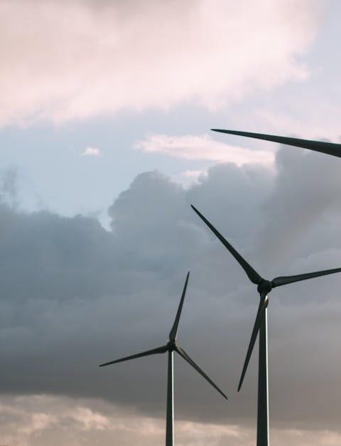 découvrez les principes du développement durable, une approche essentielle pour garantir un avenir équilibré et respectueux de l'environnement. apprenez comment intégrer la durabilité dans vos actions quotidiennes et contribuer à la préservation de notre planète.