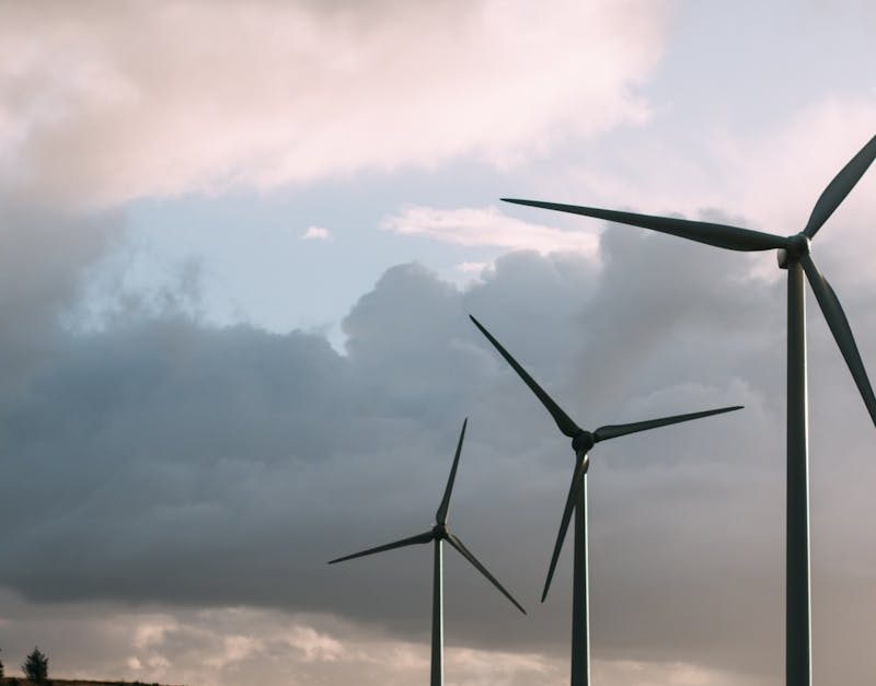 découvrez les principes du développement durable, une approche essentielle pour garantir un avenir équilibré et respectueux de l'environnement. apprenez comment intégrer la durabilité dans vos actions quotidiennes et contribuer à la préservation de notre planète.