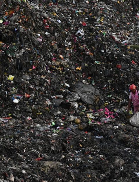découvrez des pratiques durables essentielles pour préserver notre planète. apprenez comment intégrer des solutions écologiques dans votre quotidien pour un avenir plus respectueux de l'environnement.