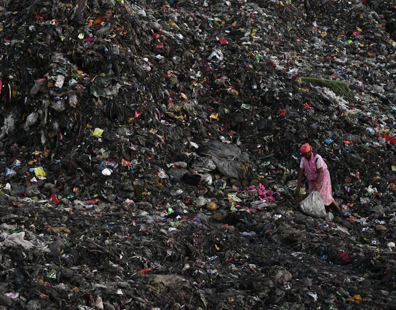 découvrez des pratiques durables essentielles pour préserver notre planète. apprenez comment intégrer des solutions écologiques dans votre quotidien pour un avenir plus respectueux de l'environnement.