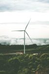 Collectivités durables : Comment les initiatives locales transforment notre avenir