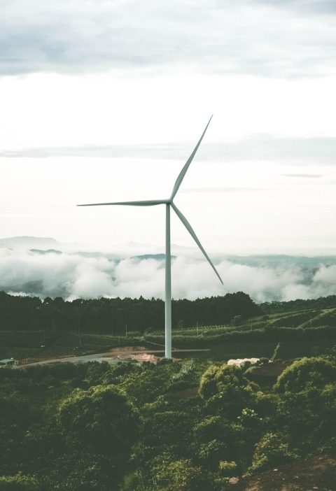 découvrez l'importance et les avantages des énergies renouvelables pour un avenir durable. apprenez comment ces sources d'énergie contribuent à la protection de l'environnement et à la lutte contre le changement climatique.
