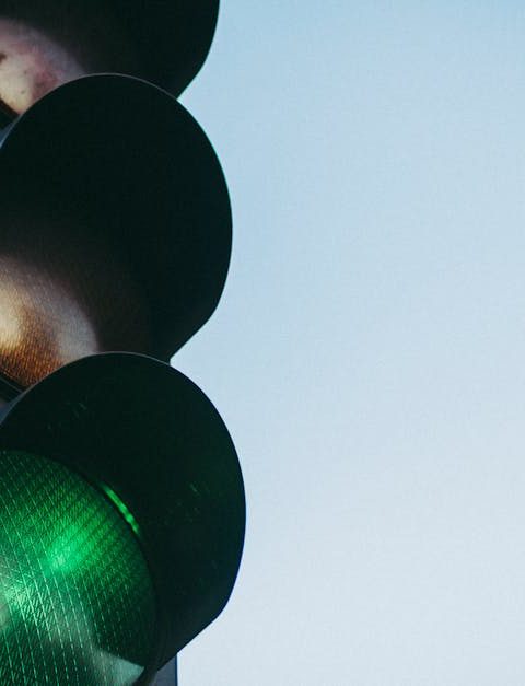 découvrez l'infrastructure verte, une approche durable qui intègre la nature dans les environnements urbains pour améliorer la qualité de vie, préserver la biodiversité et lutter contre le changement climatique.