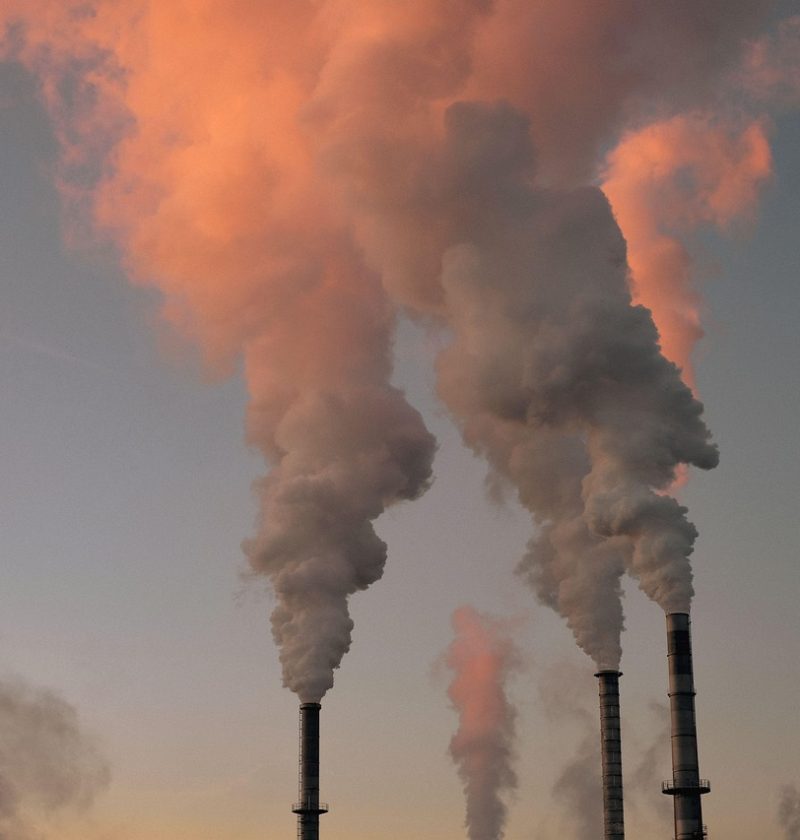 découvrez l'importance de l'environnement, ses défis majeurs et les initiatives pour le préserver. informez-vous sur les pratiques durables et comment chacun peut contribuer à un avenir plus vert.
