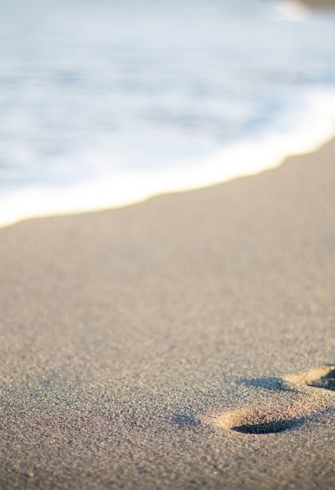 découvrez l'empreinte écologique, un indicateur essentiel pour comprendre l'impact de nos activités sur l'environnement. explorez comment réduire votre empreinte pour un avenir plus durable.