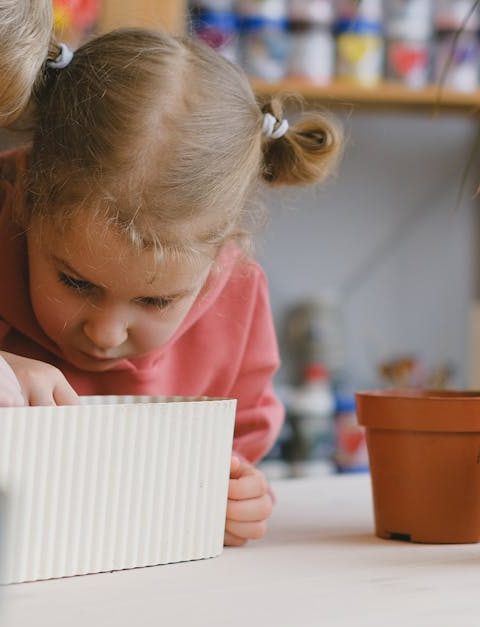 découvrez les objectifs de développement durable, des initiatives mondiales visant à construire un avenir plus juste et écologique. apprenez comment chacun peut contribuer à la préservation de notre planète tout en améliorant le bien-être de tous.
