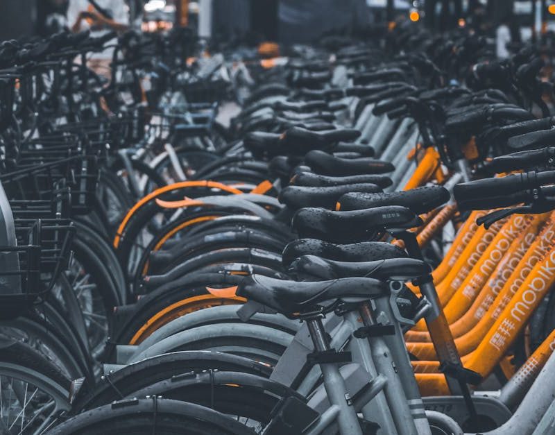 découvrez comment les paysages urbains durables transforment nos villes en espaces verts et vivables. explorez des initiatives innovantes pour intégrer la nature dans l'urbanisme, réduire l'empreinte carbone et améliorer la qualité de vie des citoyens.