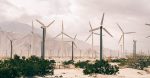Voies végétales : Comprendre leur rôle dans le développement durable