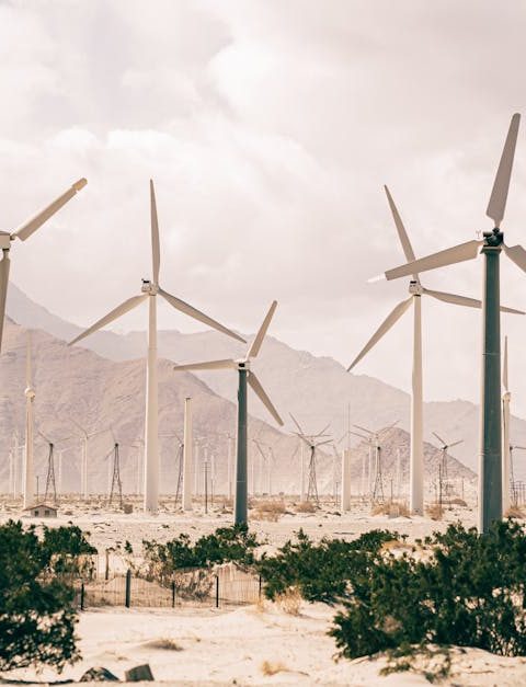 découvrez les enjeux du développement durable et comment il vise à préserver notre planète tout en répondant aux besoins des générations présentes et futures. explorez des solutions écologiques et éthiques pour un avenir meilleur.