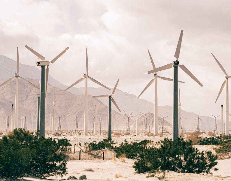 découvrez les enjeux du développement durable et comment il vise à préserver notre planète tout en répondant aux besoins des générations présentes et futures. explorez des solutions écologiques et éthiques pour un avenir meilleur.