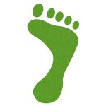 Écologie politique : enjeux et perspectives pour un avenir durable