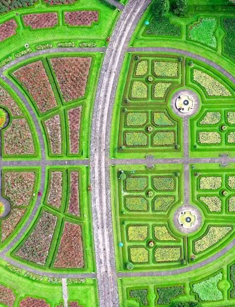 découvrez les voies fascinantes des plantes avec "plant pathways". explorez comment les plantes interagissent avec leur environnement, leur croissance, et leur rôle vital dans l'écosystème. plongez dans l'univers des chemins que suivent les plantes, de leur développement à leur impact sur la biodiversité.