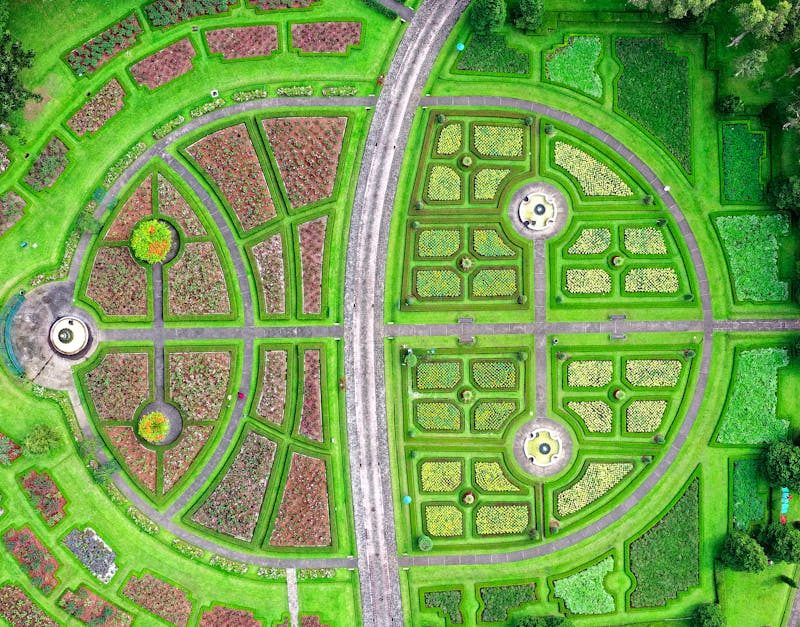 découvrez les voies fascinantes des plantes avec "plant pathways". explorez comment les plantes interagissent avec leur environnement, leur croissance, et leur rôle vital dans l'écosystème. plongez dans l'univers des chemins que suivent les plantes, de leur développement à leur impact sur la biodiversité.