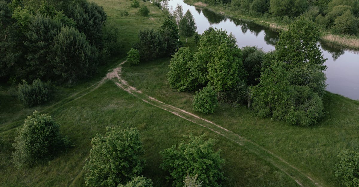 découvrez l'importance de la biodiversité pour notre planète. explorez les différents écosystèmes, la richesse des espèces et l'impact de la conservation sur notre environnement. engagez-vous pour un avenir durable en préservant la diversité biologique.