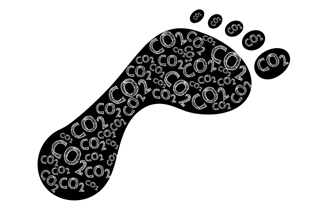 découvrez l'empreinte écologique, un indicateur clé de l'impact environnemental de nos mode de vie. apprenez à réduire votre empreinte et à adopter des gestes plus durables pour préserver notre planète.