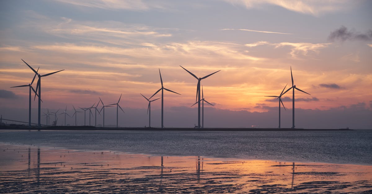 découvrez les enjeux et les solutions de la transition énergétique, un processus essentiel vers des sources d'énergie durables et respectueuses de l'environnement. explorez les innovations, les politiques et les actions nécessaires pour un avenir énergétique responsable.