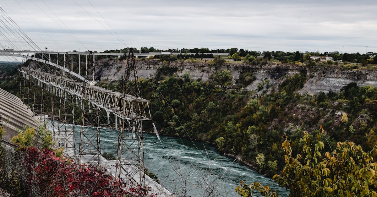 découvrez les ressources en eau renouvelables, leur importance pour l'environnement et le développement durable, ainsi que les méthodes de gestion et de préservation de cette précieuse ressource naturelle.