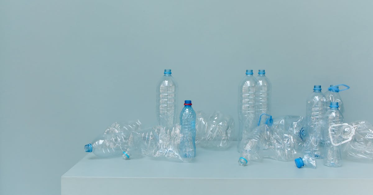 découvrez des stratégies efficaces pour la conservation des ressources, favorisant un développement durable et une utilisation optimisée de notre environnement pour les générations futures.