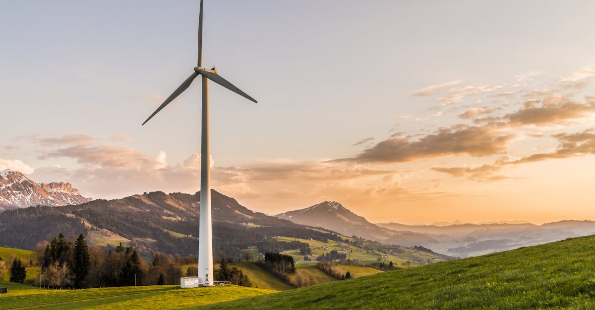 découvrez comment la durabilité façonne notre avenir, en explorant des pratiques écologiques, des innovations durables et des solutions pour un mode de vie respectueux de l'environnement.
