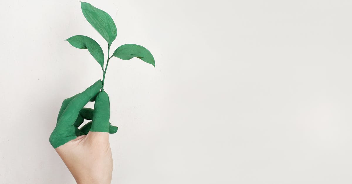 découvrez les enjeux de la durabilité et explorez des solutions innovantes pour un avenir plus écologique. apprenez comment adoptez un mode de vie durable qui préserve notre planète pour les générations futures.