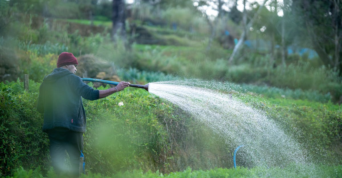 découvrez l'agriculture durable : des pratiques respectueuses de l'environnement qui préservent les ressources naturelles tout en garantissant une production alimentaire optimale. adoptez des méthodes innovantes pour un avenir agricole responsable et écoresponsable.
