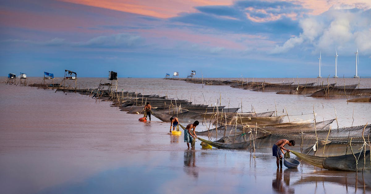 découvrez comment les communautés durables œuvrent pour un avenir respectueux de l'environnement, favorisant la solidarité, la résilience et l'innovation. explorez des initiatives inspirantes qui redéfinissent le vivre ensemble et soutiennent un mode de vie éco-responsable.