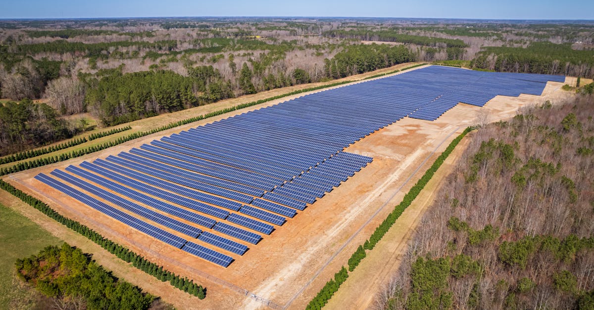 découvrez les principes du développement durable, une approche essentielle pour garantir un avenir respectueux de l'environnement, socialement équitable et économiquement viable. apprenez comment intégrer ces pratiques dans votre vie quotidienne et vos projets.