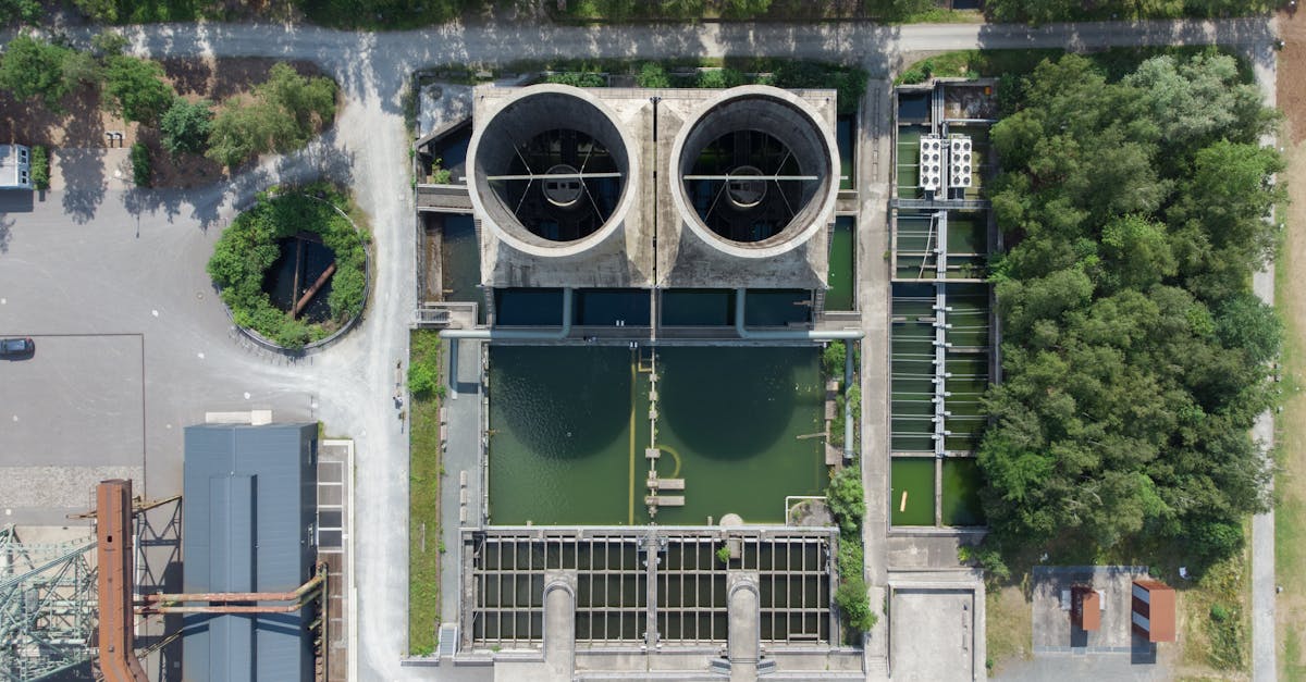 découvrez l'écologie urbaine, une discipline innovante qui explore les interactions entre l'environnement urbain et la biodiversité. apprenez comment les villes peuvent devenir des espaces durables et favorables à la nature, tout en améliorant la qualité de vie de leurs habitants.