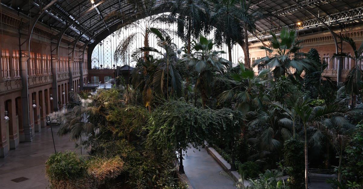 découvrez l'écologie urbaine, une discipline qui étudie les interactions entre les humains et leur environnement en milieu urbain. explorez comment les villes peuvent devenir plus durables, favoriser la biodiversité et améliorer la qualité de vie tout en intégrant la nature dans l'urbanisme.