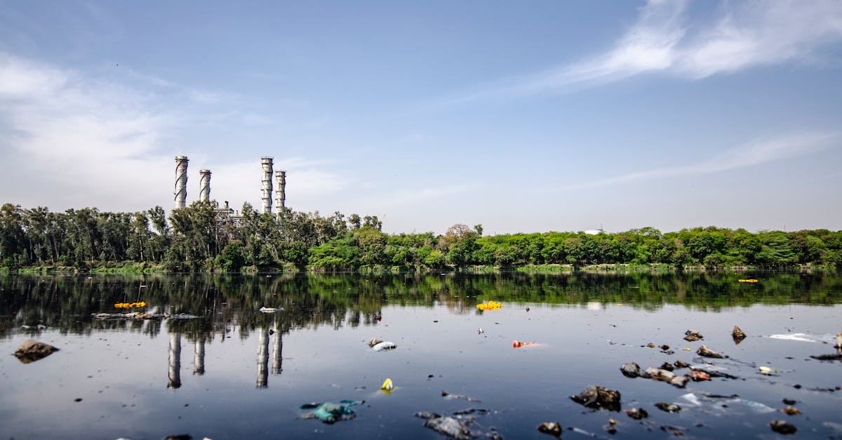 découvrez des solutions efficaces en gestion des déchets pour réduire l'impact environnemental. apprenez des stratégies innovantes et des pratiques durables pour un avenir plus propre et responsable.