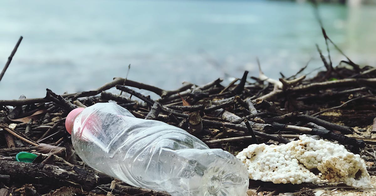 découvrez les enjeux et les solutions innovantes de la valorisation des déchets, qui permettent de transformer des matériaux inutilisés en ressources précieuses tout en préservant l'environnement.