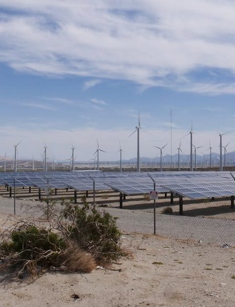 découvrez les principes du développement durable, une approche essentielle pour protéger notre planète tout en répondant aux besoins des générations présentes et futures. explorez des stratégies innovantes pour un avenir plus respectueux de l'environnement.