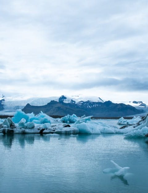 découvrez comment le changement climatique impacte notre planète et quelles actions nous pouvons entreprendre pour protéger notre environnement pour les générations futures.