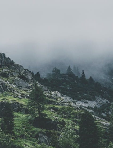 découvrez comment la gouvernance écologique transforme notre approche de la durabilité et de la préservation de l'environnement. explorez des stratégies innovantes qui allient responsabilité sociale et développement durable pour un avenir équilibré.
