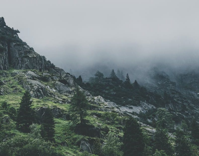 découvrez comment la gouvernance écologique transforme notre approche de la durabilité et de la préservation de l'environnement. explorez des stratégies innovantes qui allient responsabilité sociale et développement durable pour un avenir équilibré.