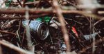Vocations écologiques : Comment s’engager pour un avenir durable