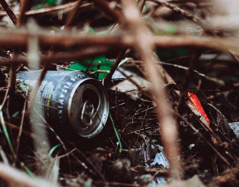 découvrez comment créer un impact durable sur l'environnement et la société. explorez des solutions innovantes et des pratiques écoresponsables pour un avenir meilleur.