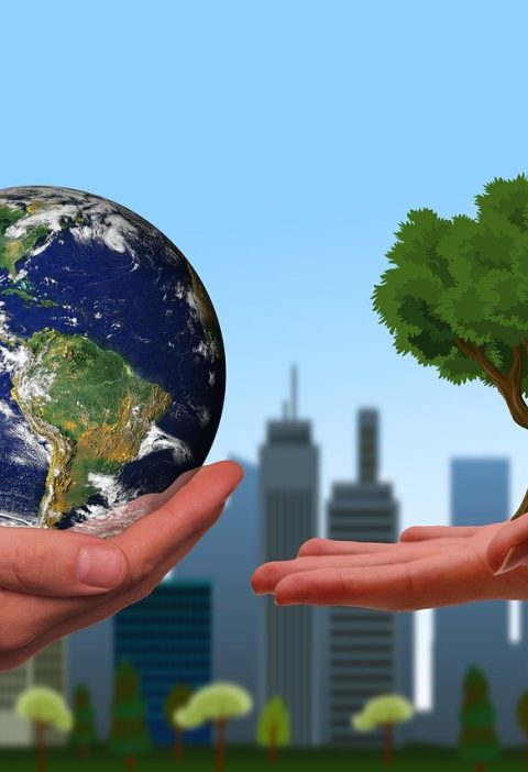 découvrez l'écologie urbaine, une approche innovante qui explore les interactions entre les villes et leur environnement. apprenez comment intégrer la nature dans nos espaces urbains pour promouvoir la durabilité et améliorer la qualité de vie.