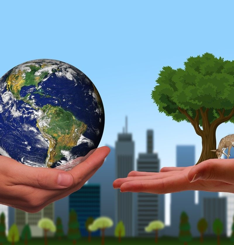 découvrez l'écologie urbaine, une approche innovante qui explore les interactions entre les villes et leur environnement. apprenez comment intégrer la nature dans nos espaces urbains pour promouvoir la durabilité et améliorer la qualité de vie.
