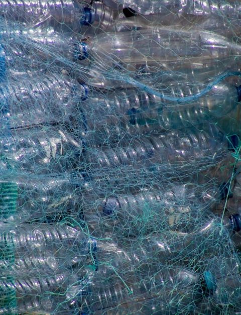 découvrez des stratégies efficaces pour réduire les déchets dans votre quotidien. adoptez des pratiques durables et contribuez à la préservation de l'environnement tout en améliorant votre qualité de vie.