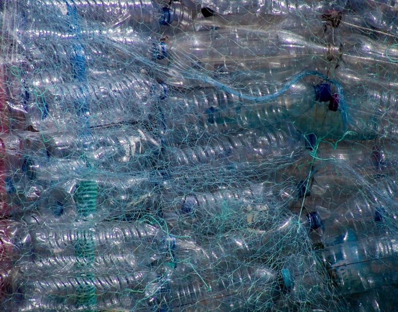 découvrez des stratégies et astuces efficaces pour réduire les déchets au quotidien. engagez-vous vers un mode de vie plus durable et respectueux de l'environnement avec des conseils pratiques pour diminuer votre empreinte écologique.