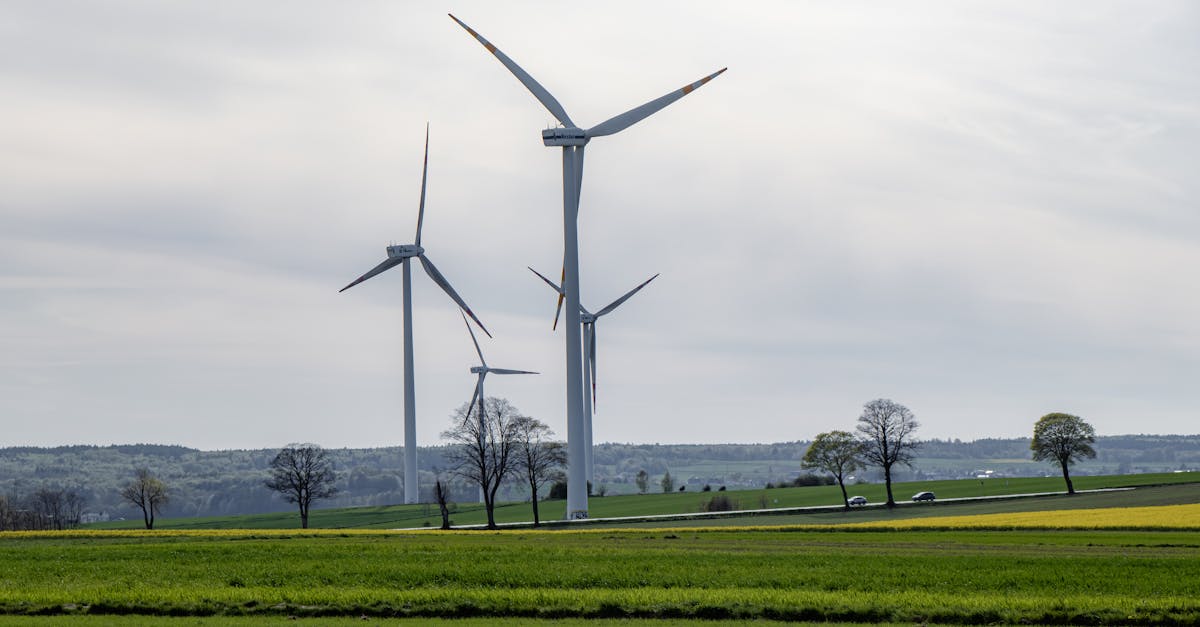 découvrez des actions concrètes contre le changement climatique et engagez-vous pour un avenir durable. rejoignez notre mouvement pour protéger notre planète et inspirer des solutions écologiques.