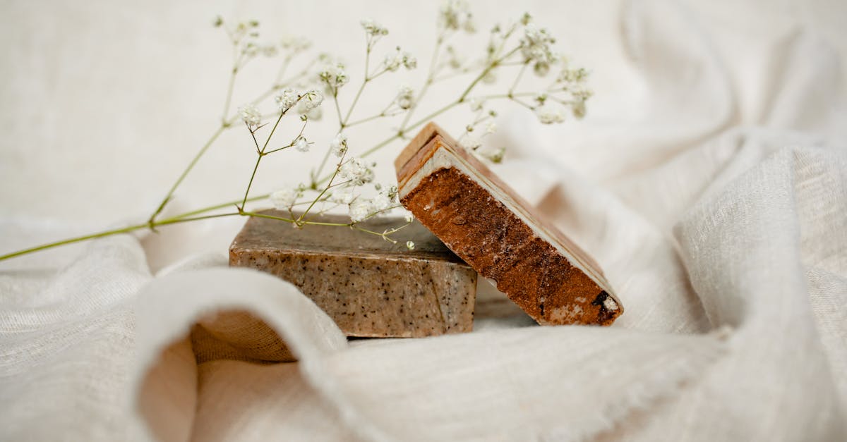 découvrez notre sélection de produits écologiques et durables qui préservent l'environnement tout en vous apportant confort et qualité. faites le choix d'une consommation responsable avec nos articles respectueux de la nature.