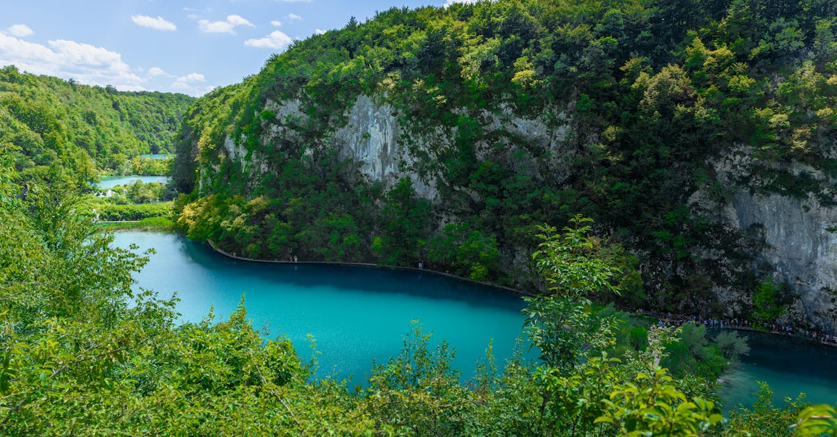 découvrez comment les partenariats écologiques transforment notre approche de la durabilité. explorez des initiatives innovantes et des collaborations entre entreprises, gouvernements et ong pour préserver notre planète et promouvoir un avenir respectueux de l'environnement.