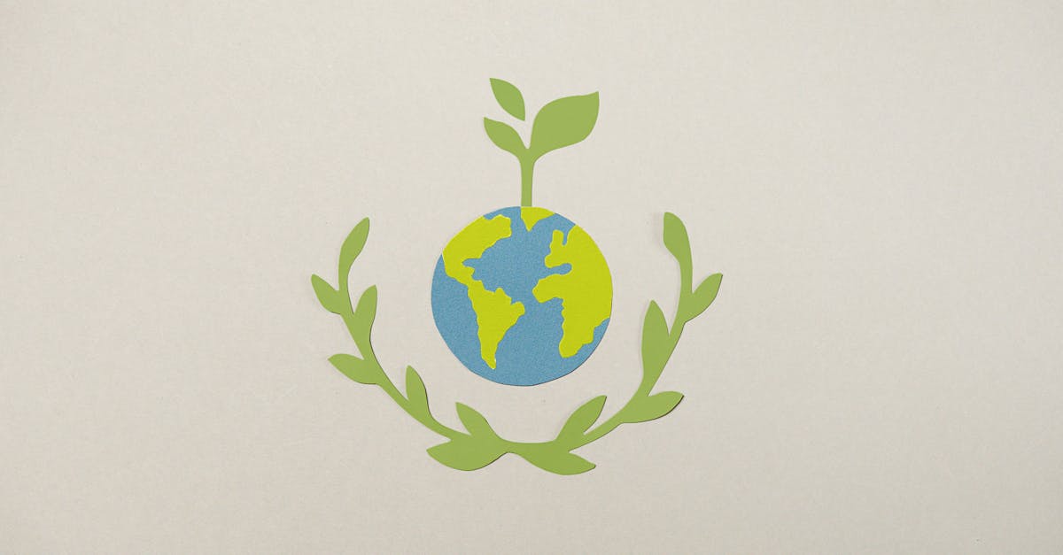 découvrez notre zone de protection écologique, un espace dédié à la préservation de la biodiversité et à la protection de l'environnement. engagez-vous pour un avenir durable en soutenant des initiatives de conservation et en participant à des activités éducatives.