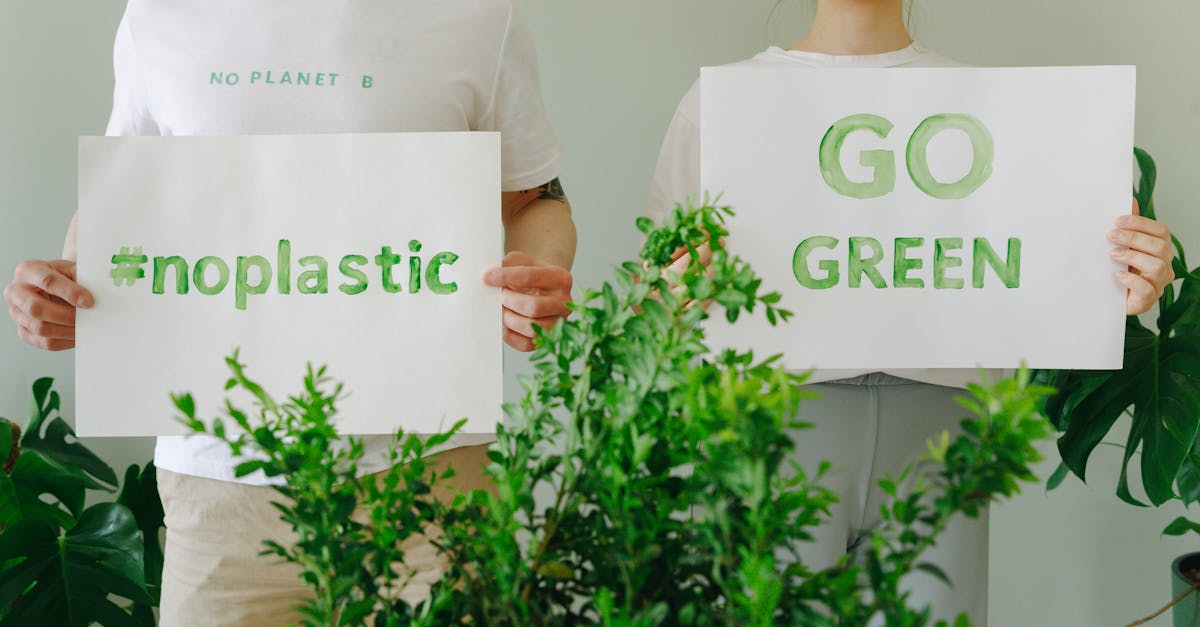 découvrez l'importance des zones de protection écologique, des espaces dédiés à la préservation de la biodiversité et à la protection de l'environnement. apprenez comment ces zones contribuent à la sauvegarde des écosystèmes et au développement durable.