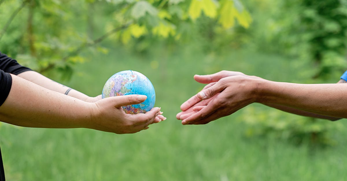 découvrez l'écologie humaine, une discipline qui explore les interactions entre les individus et leur environnement, mettant en lumière l'impact des comportements humains sur les écosystèmes et la durabilité de notre planète.